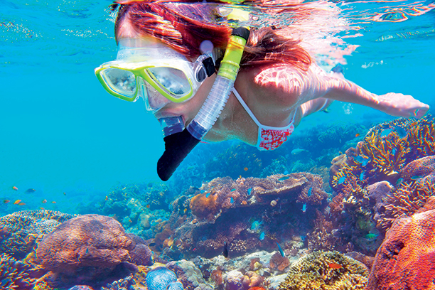 Hamata