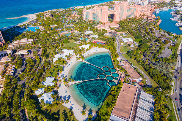 Plavání s delfíny – hotel Atlantis