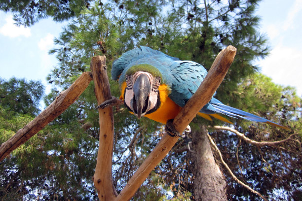 Marineland