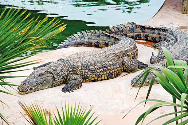 Djerba Explore Park