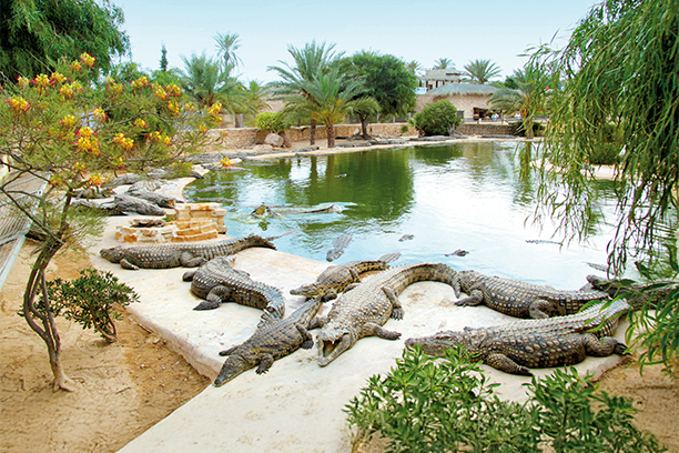 Djerba Explore Park